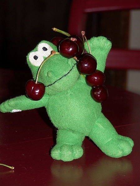 100_0613.jpg