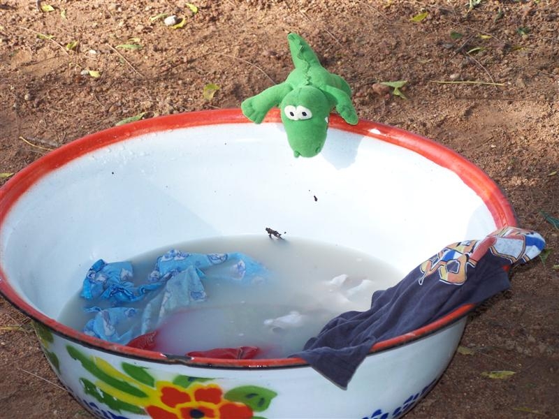 100_1513.jpg