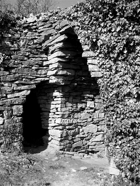 100_3814.jpg - Cabornes des Monts d'Or lyonnais
